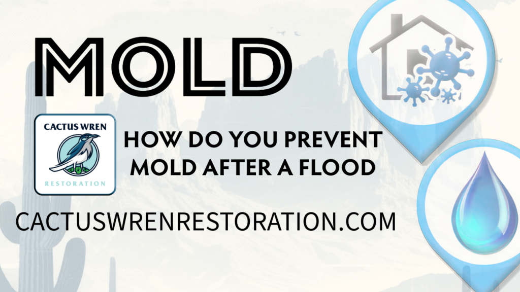 How to Prevent Mold after a Flood Blog Post Header