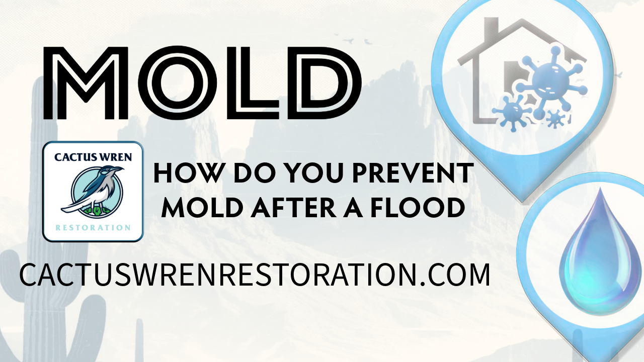 How to Dry Out a Flooded Basement Without Causing Mold Growth