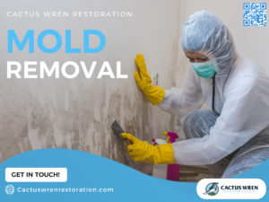 Mold technician treating mold on a wall wearing PPE.
